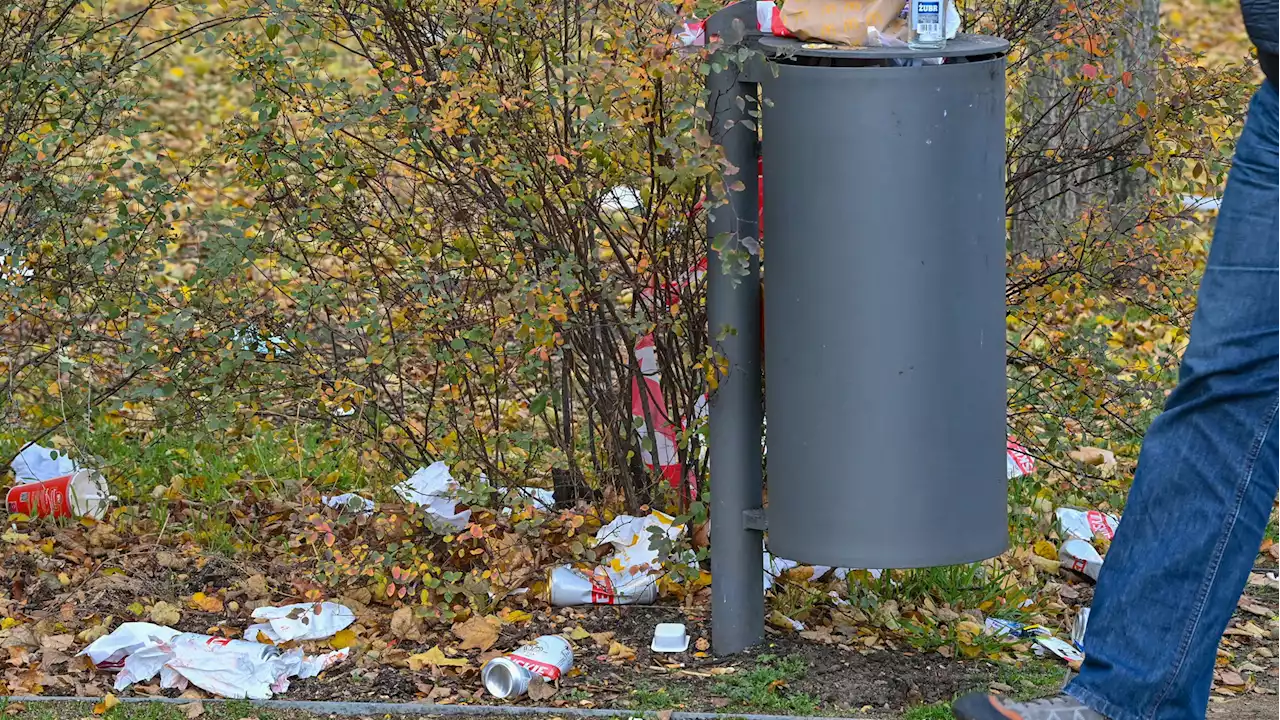 So verschmutzt sind Brandenburgs Parks im Sommer