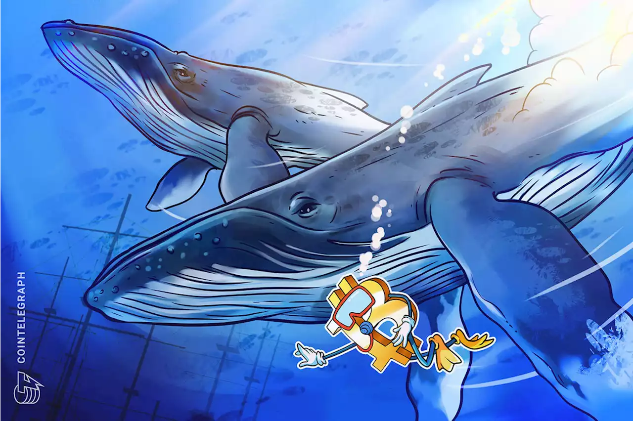 Bitcoin whales still 'hibernating' as BTC price nears $21K