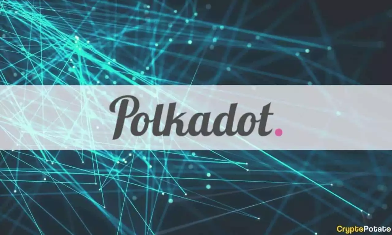 Polkadot's Network Usage Remained Consistent in Q2 Despite Market Downturn: Report