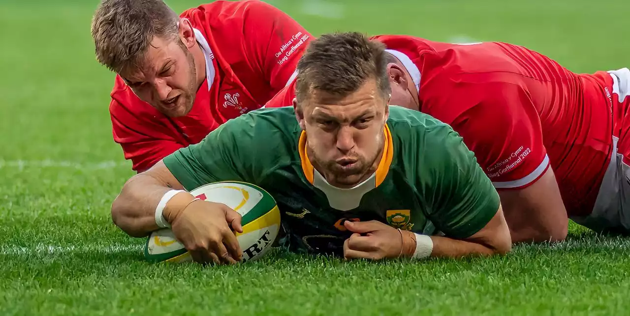 SOUTH AFRICA 30 (17) WALES 14 (8): Powerful Springboks secure series win over gutsy Wales