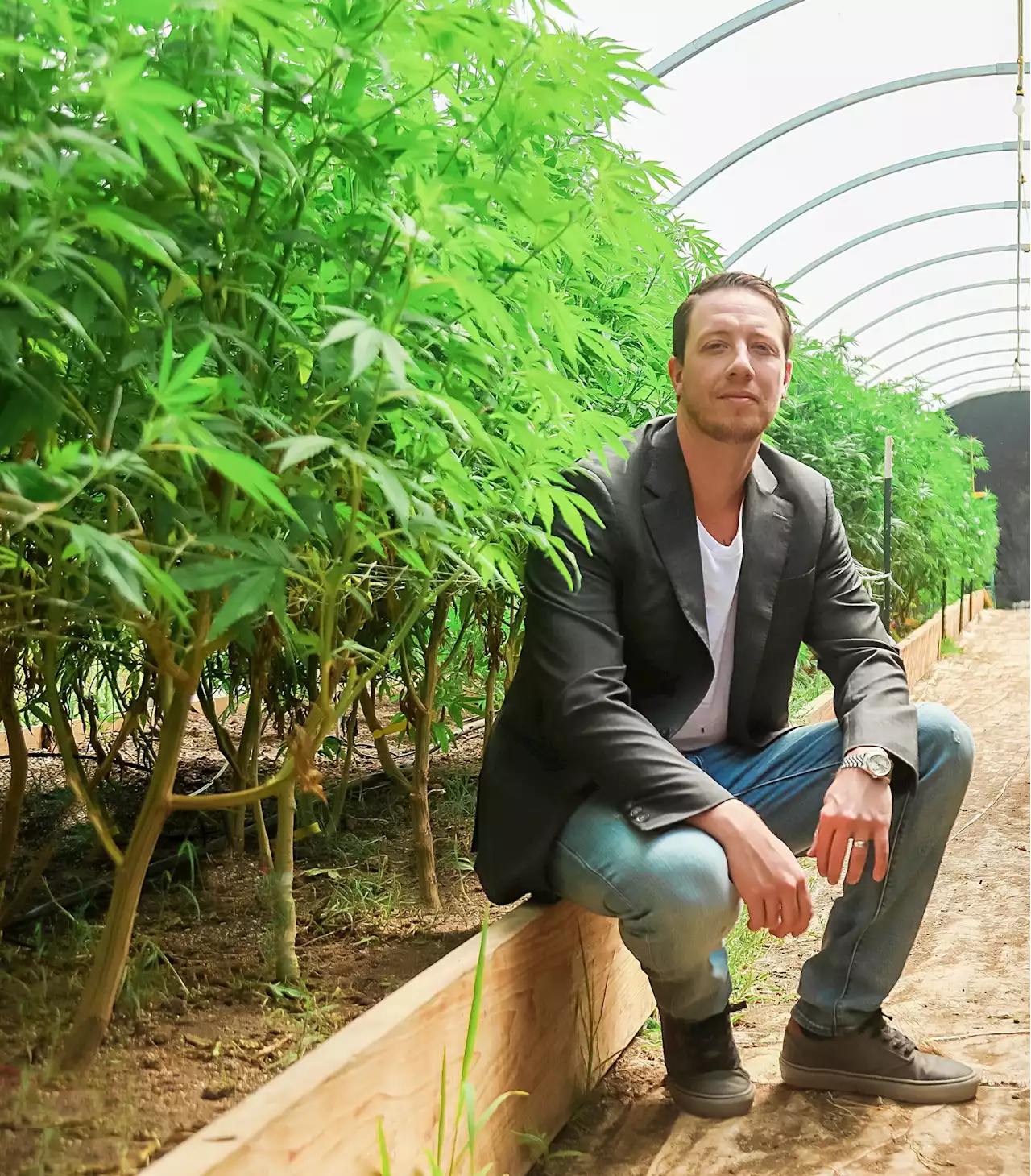 Inside the Business of Marijuana Real Estate and Pot Properties