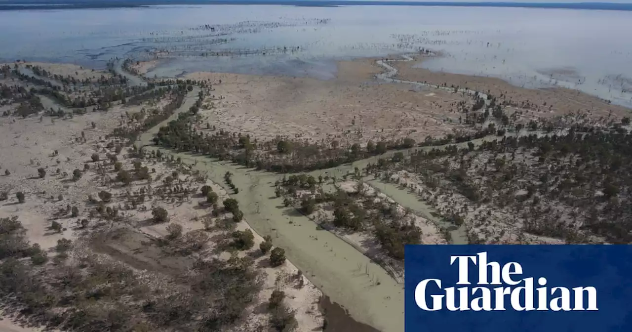 NSW flood plain harvesting rules won’t protect environment, government advisers warn