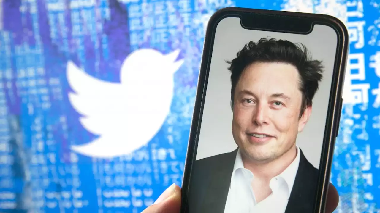 Twitterübernahme: Musk wehrt sich gegen beschleunigtes Gerichtsverfahren