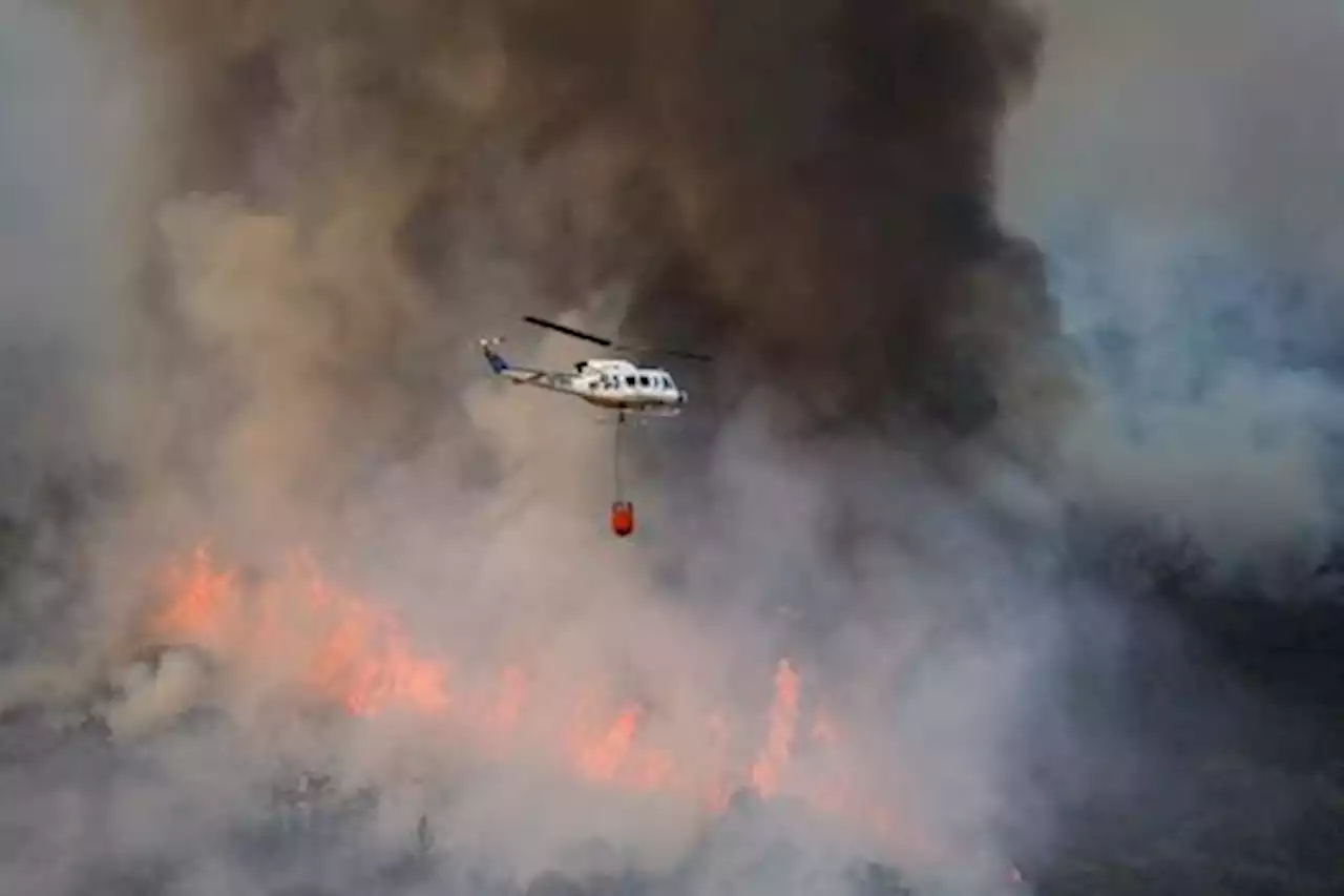 欧州で記録的熱波、山火事が多発 ＷＭＯは大気の質悪化を警告 - トピックス｜Infoseekニュース