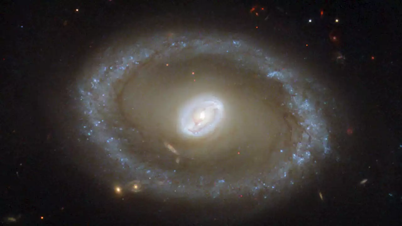 Human and machine intelligence merge to discover 40,000 ring galaxies