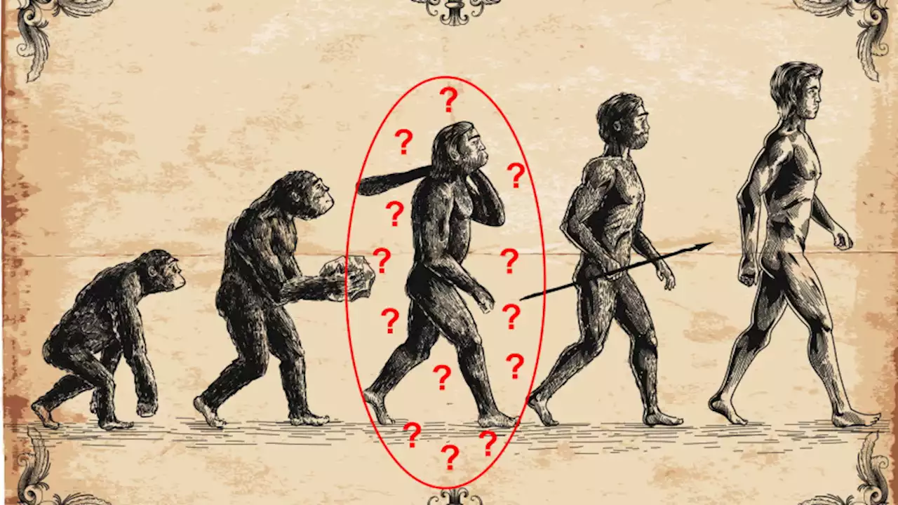 No, Humans Didn't Evolve From the Ancestors of Living Apes