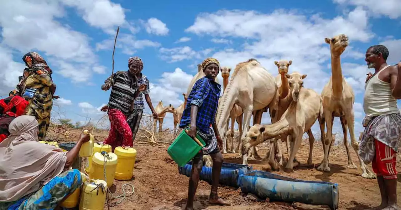 El cambio climático como detonante de conflictos armados en África | Mundo | La Voz del Interior