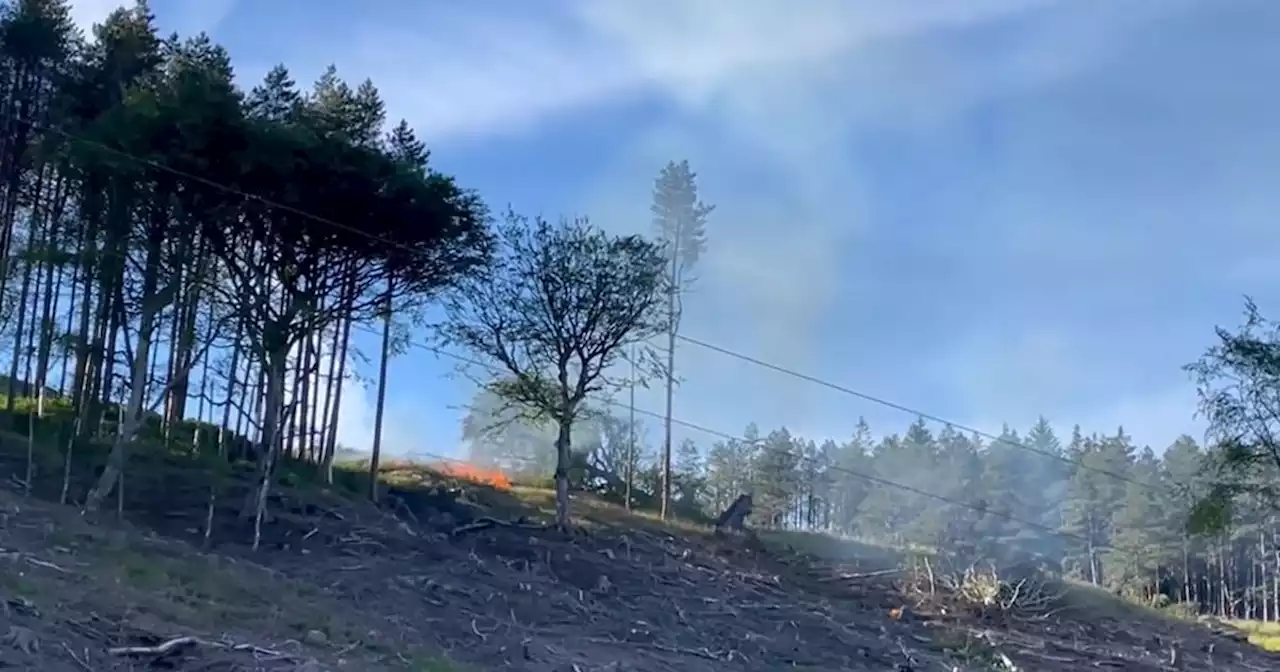 Police probe 'deliberate' Dovestone fires which could have been 'devastating'