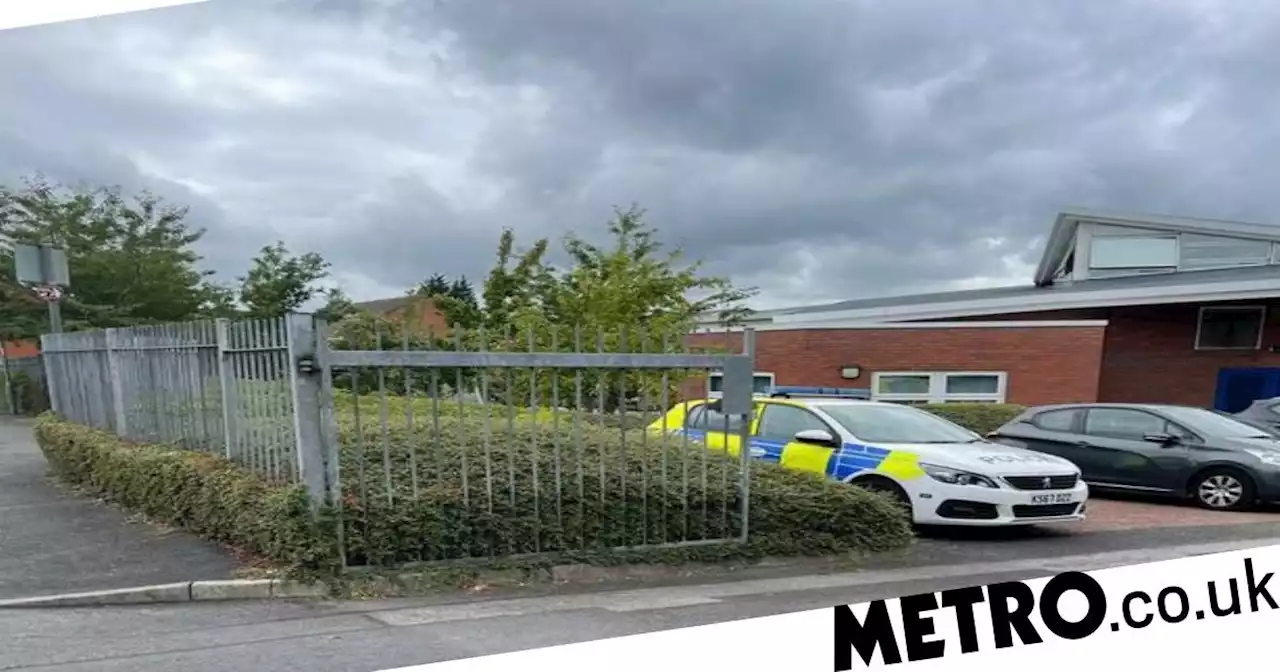 Parent wrestled knifeman 'wielding a meat cleaver' to the ground outside school