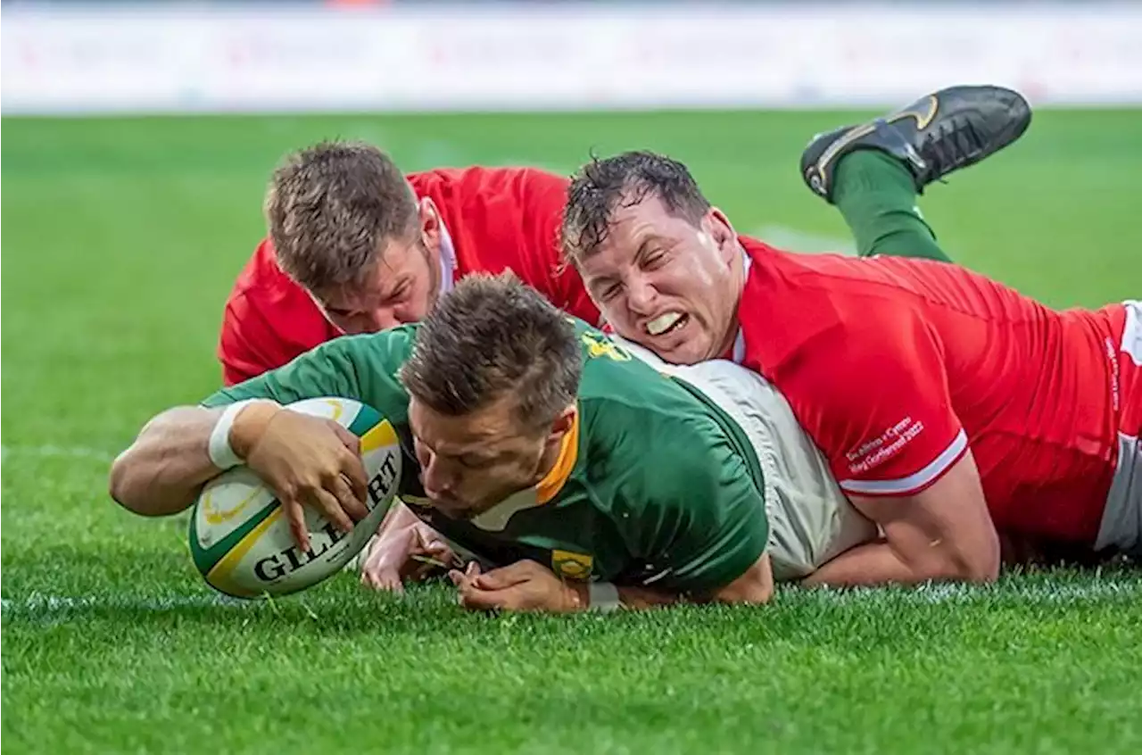 Springboks keep their composure to topple Wales and win series | Sport