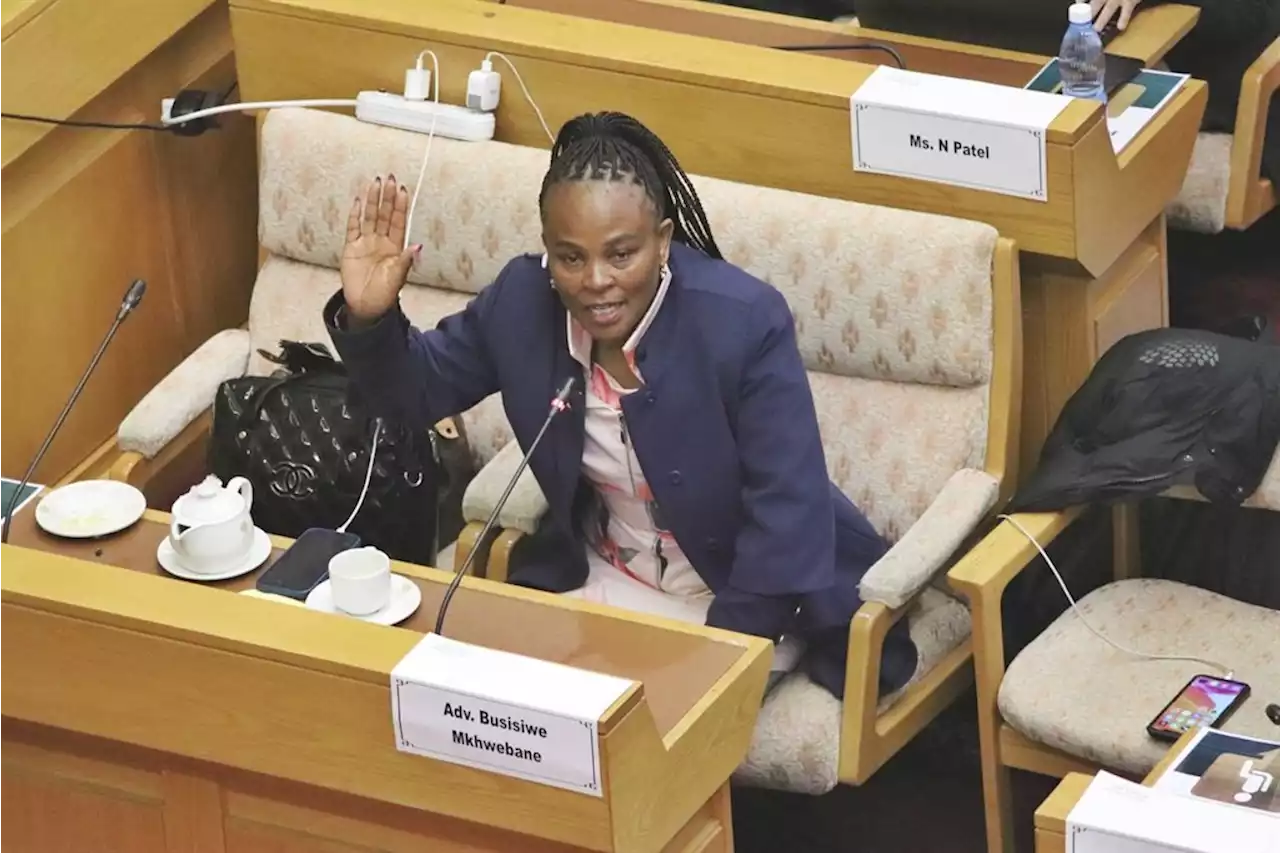 SSA members were SARS' enemies, Van Loggerenberg tells Mkhwebane impeachment hearing | News24