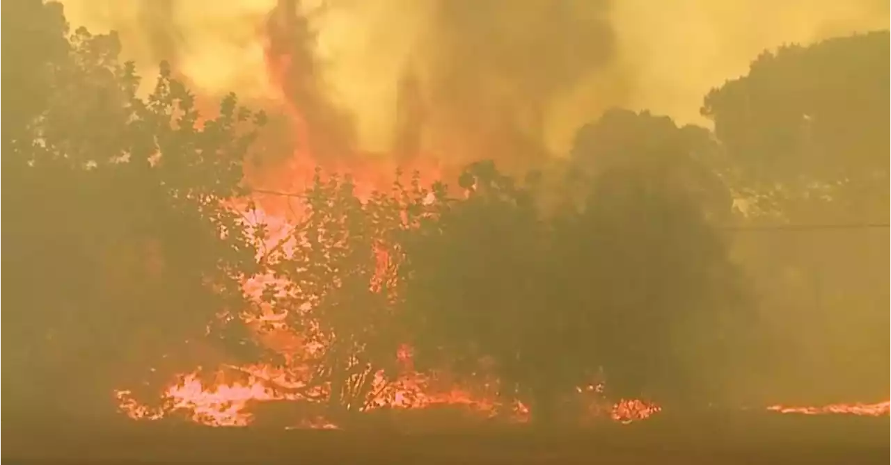 Waterbomber pilot dies fighting Portugal wildfire