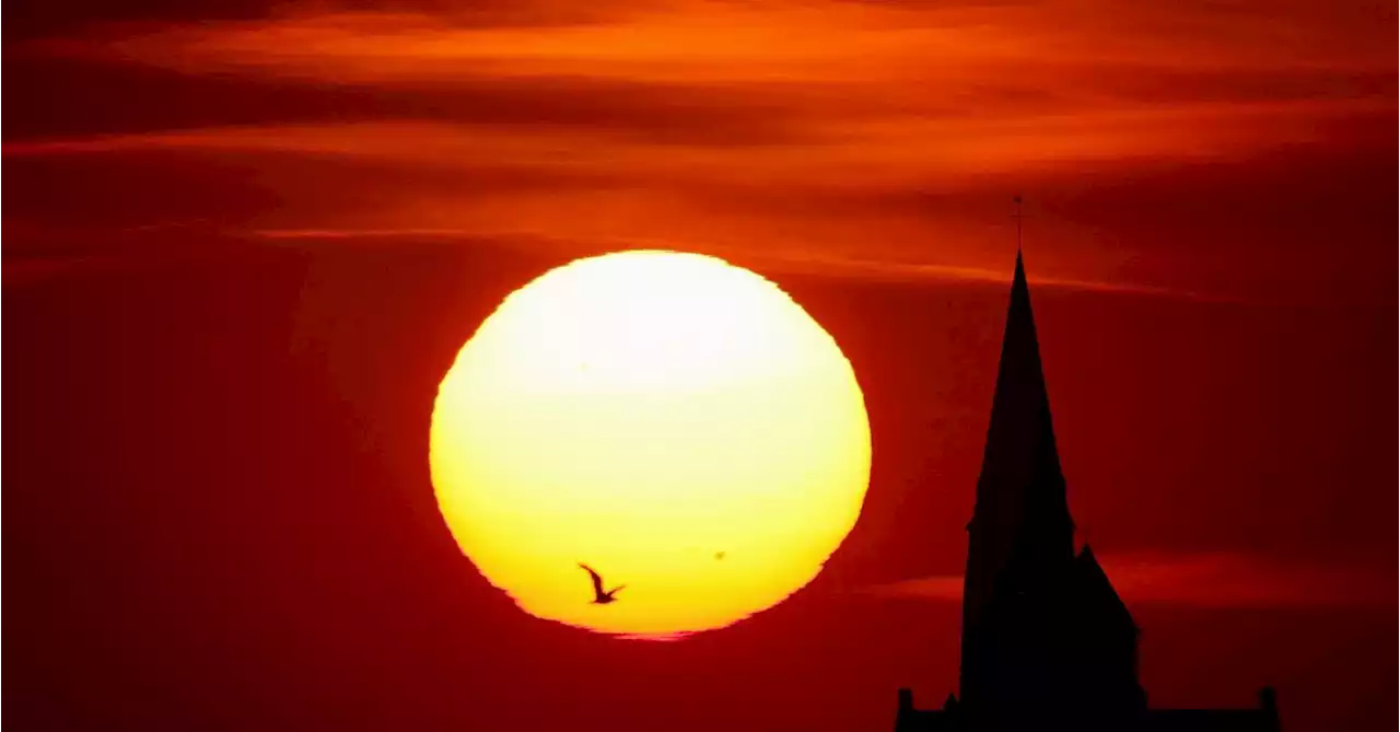 Wildfires spread further in southwest France, with 10,000 hectares ablaze