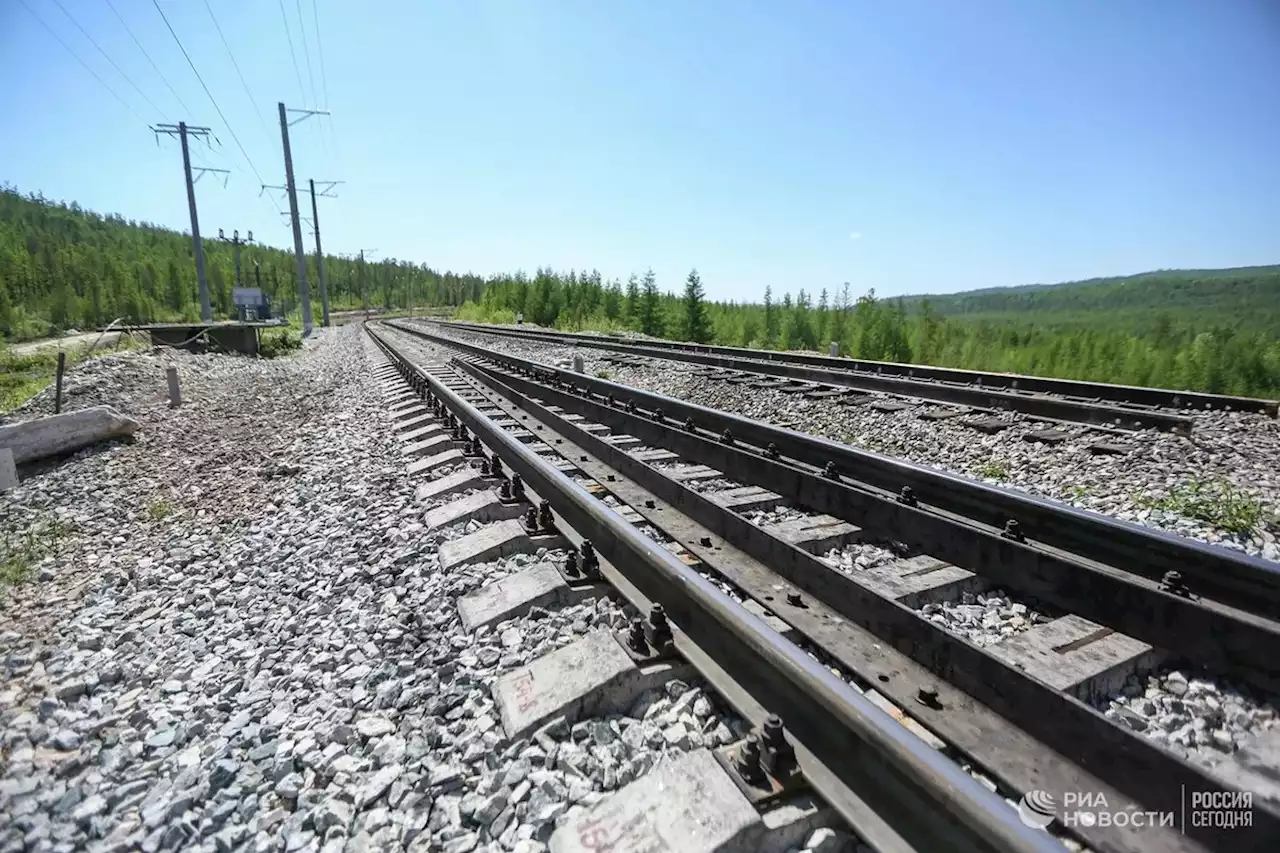 В Тульской области грузовой поезд сошел с рельсов, один человек погиб