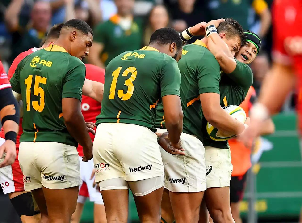 Boks celebrate milestones with series victory over Wales