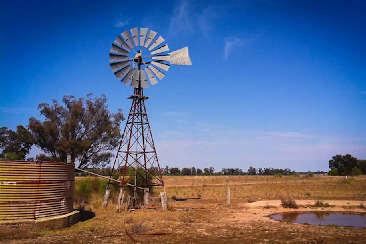 Farm attack averted, farmer fires warning shot, suspects flee, Uitkyk - South Africa Today