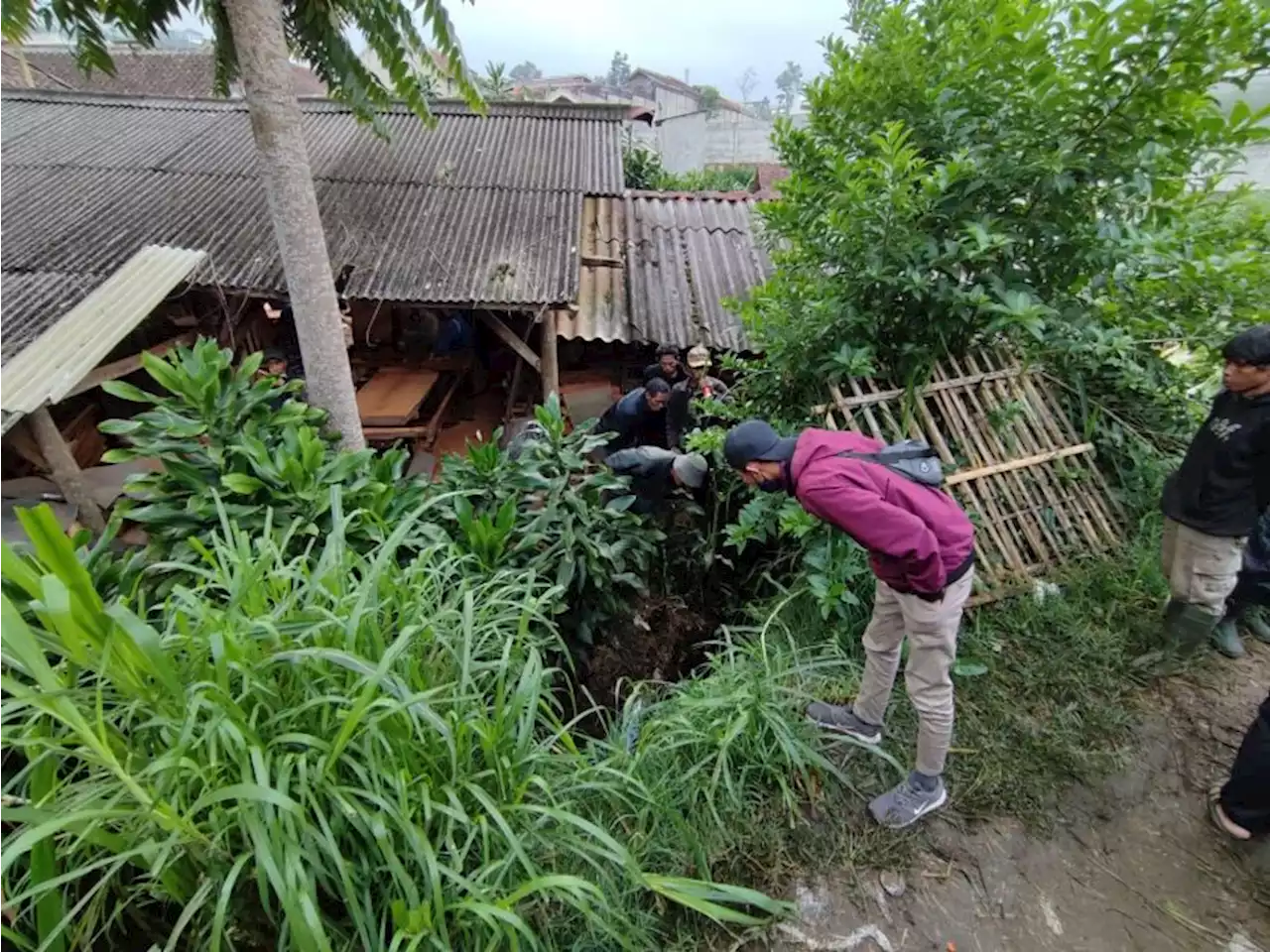 Dikabarkan Hilang, Pemeras Susu Sapi Ditemukan Tewas Tertindih Motor