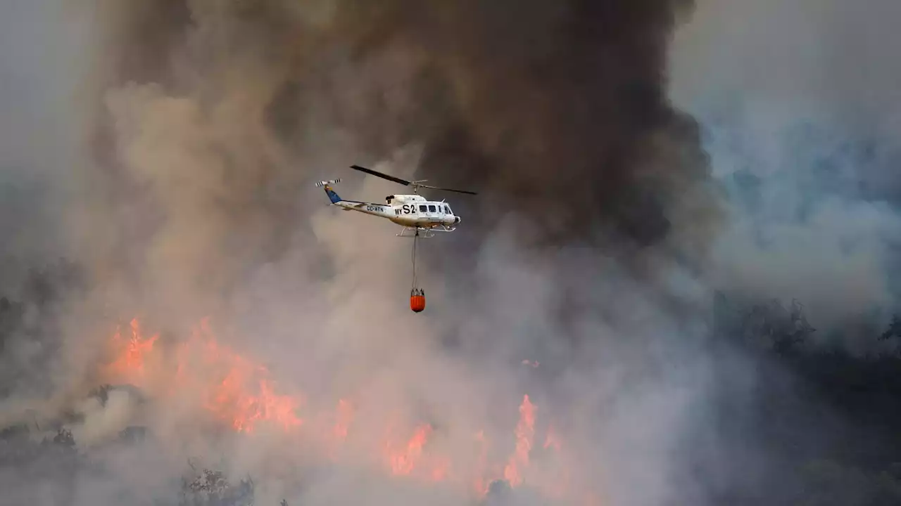 Heatwave in pictures: Wildfires across Europe, droughts and ice pops