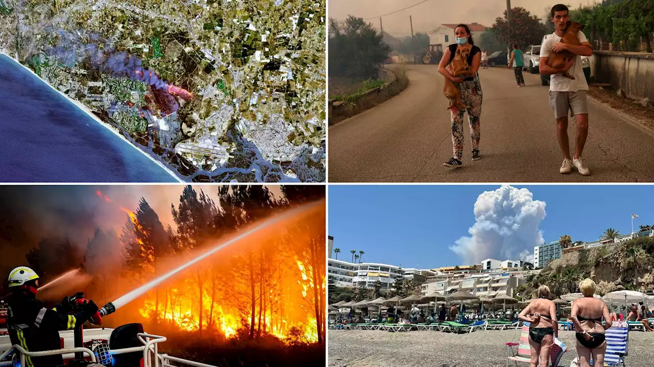 Wildfires in pictures - the battle to control Europe's deadly blazes