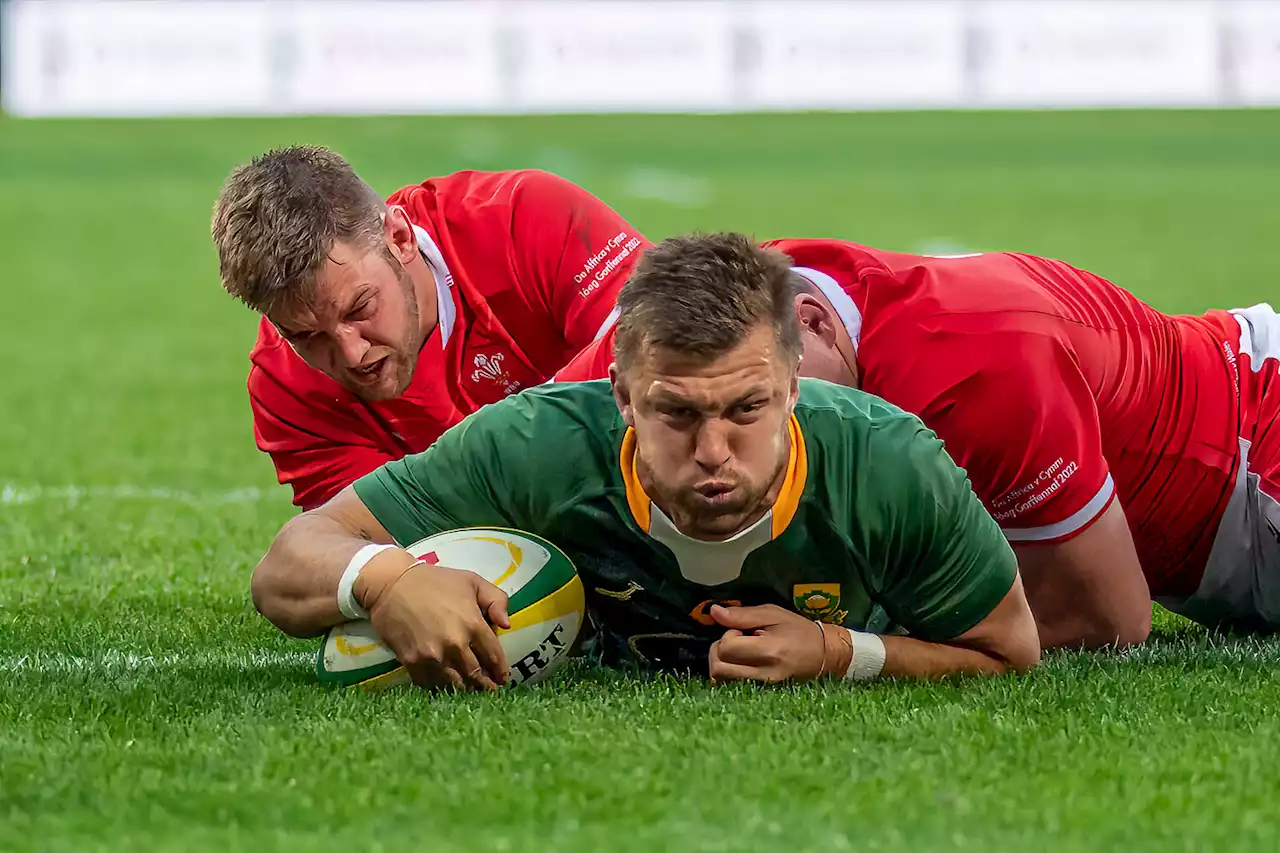 Imperious Boks clinch series win after dominant third Test win over Wales | The Citizen