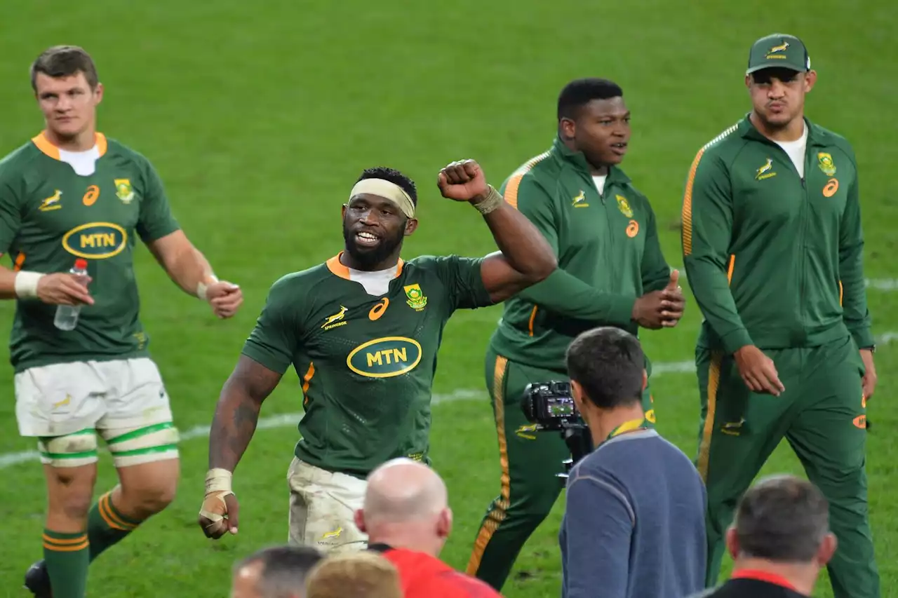 Springboks prevail after tough series against Wales | The Citizen