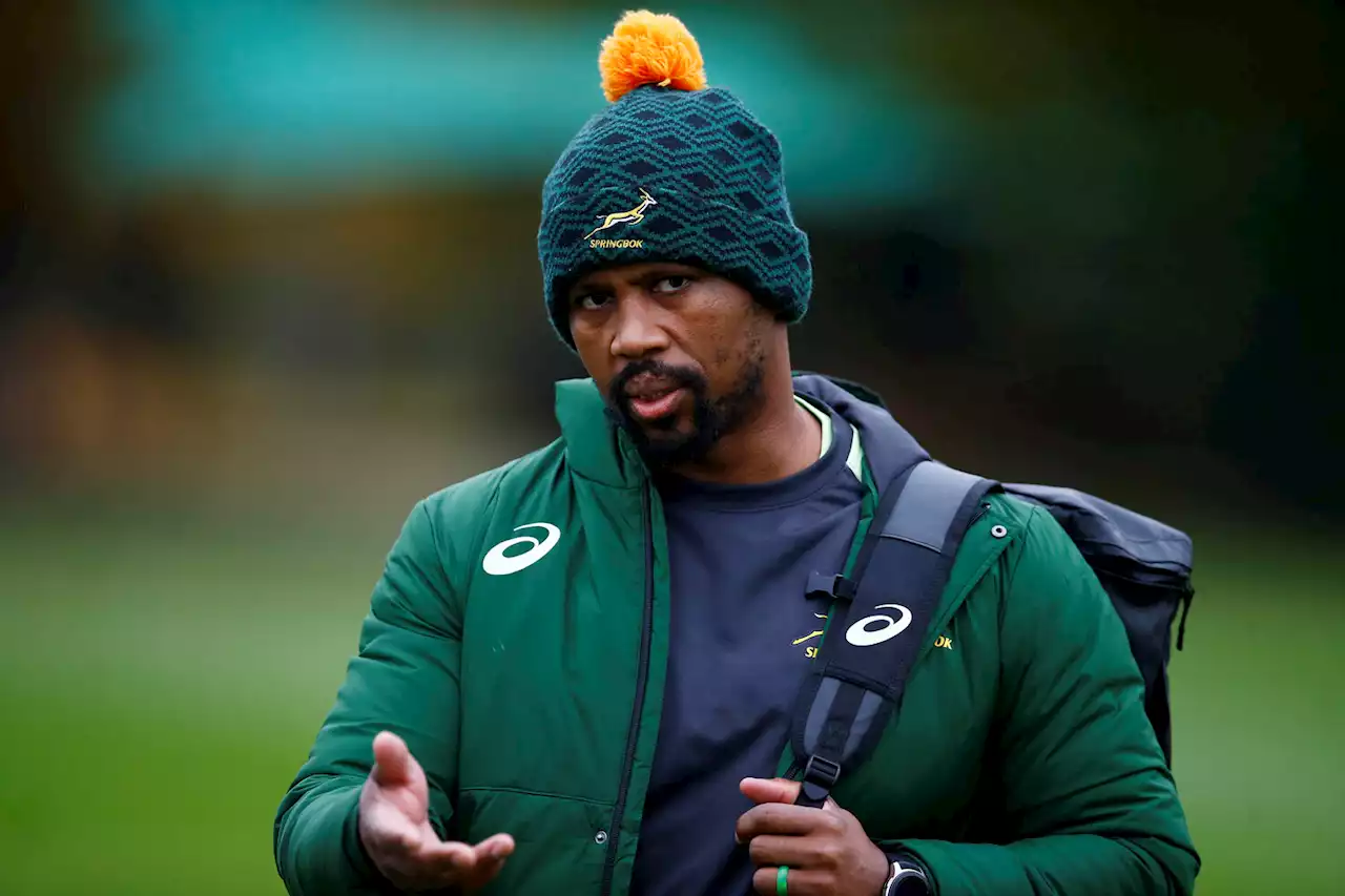 Springboks relishing the pressure ahead of Wales decider — Stick | The Citizen