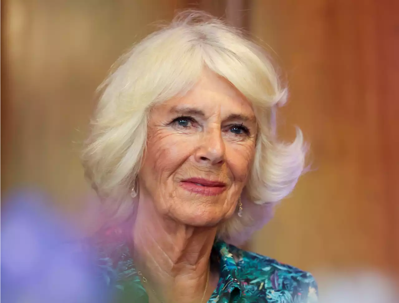 Inside the royal family's PR push to change public opinion about Camilla