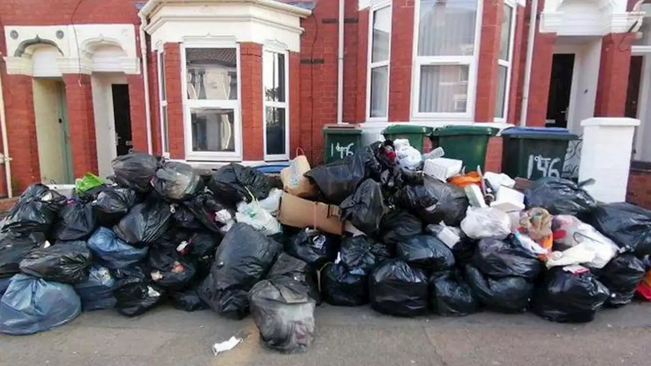 Bin bags pile high on our road because so many student digs have been allowed