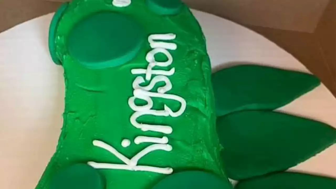 I wanted a dino cake for my son but got a Loch Ness wiener instead