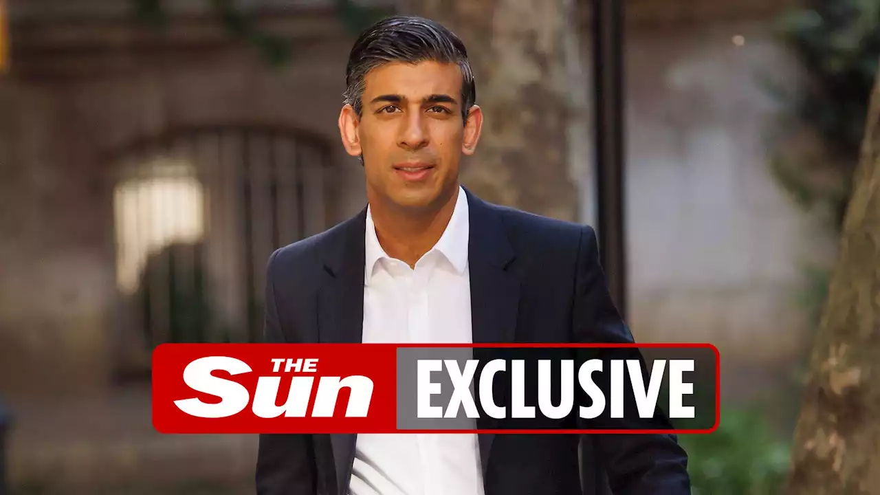 Tory front-runner Rishi Sunak vows to cut EU red-tape to 'make Brexit sing'