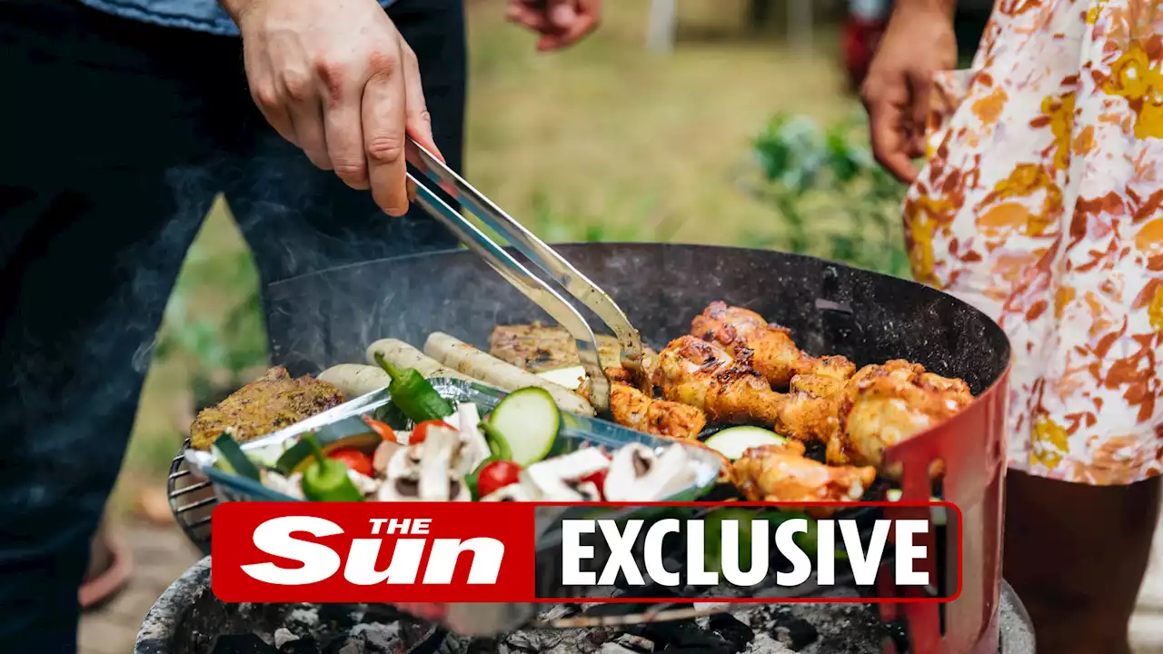 Whitehall officials planned to BAN Brits from having BBQs during heatwave