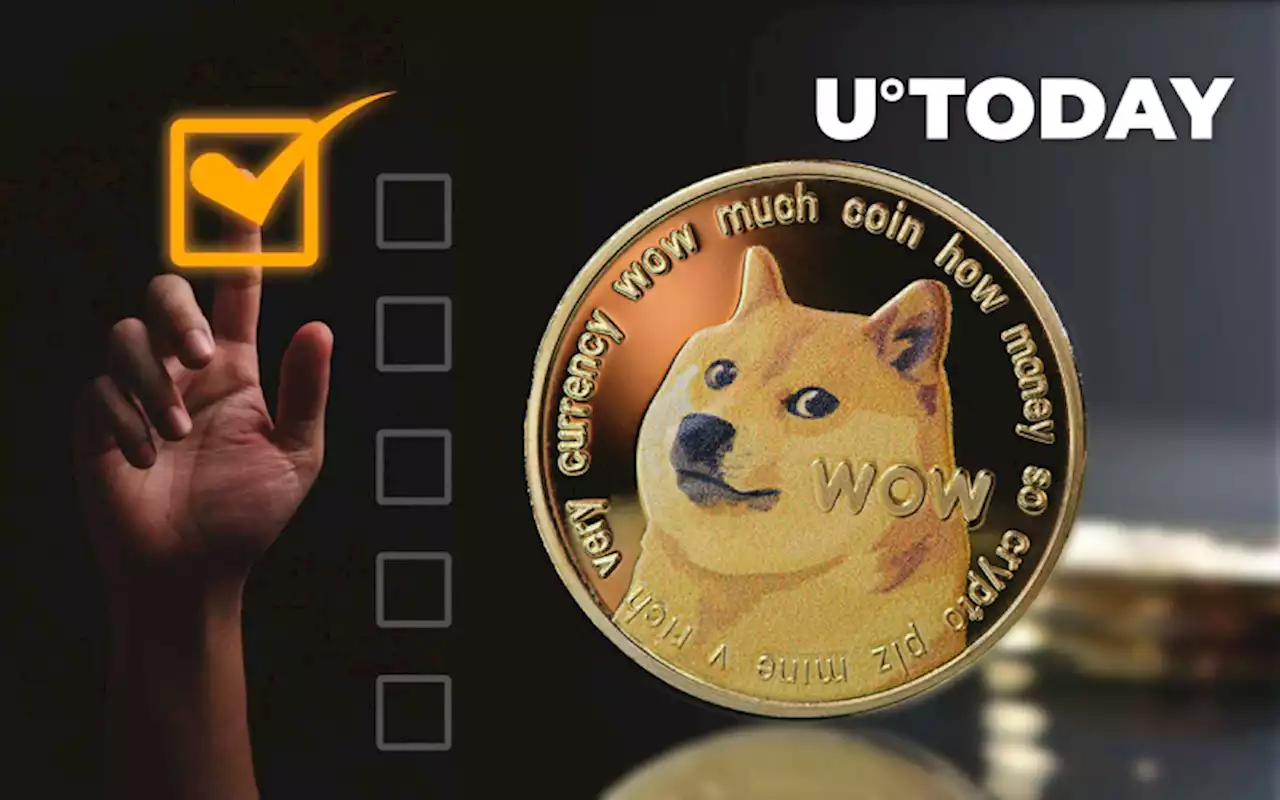 Dogecoin Foundation Director Launches Survey About Potential DOGE Hackathon This Year: Details