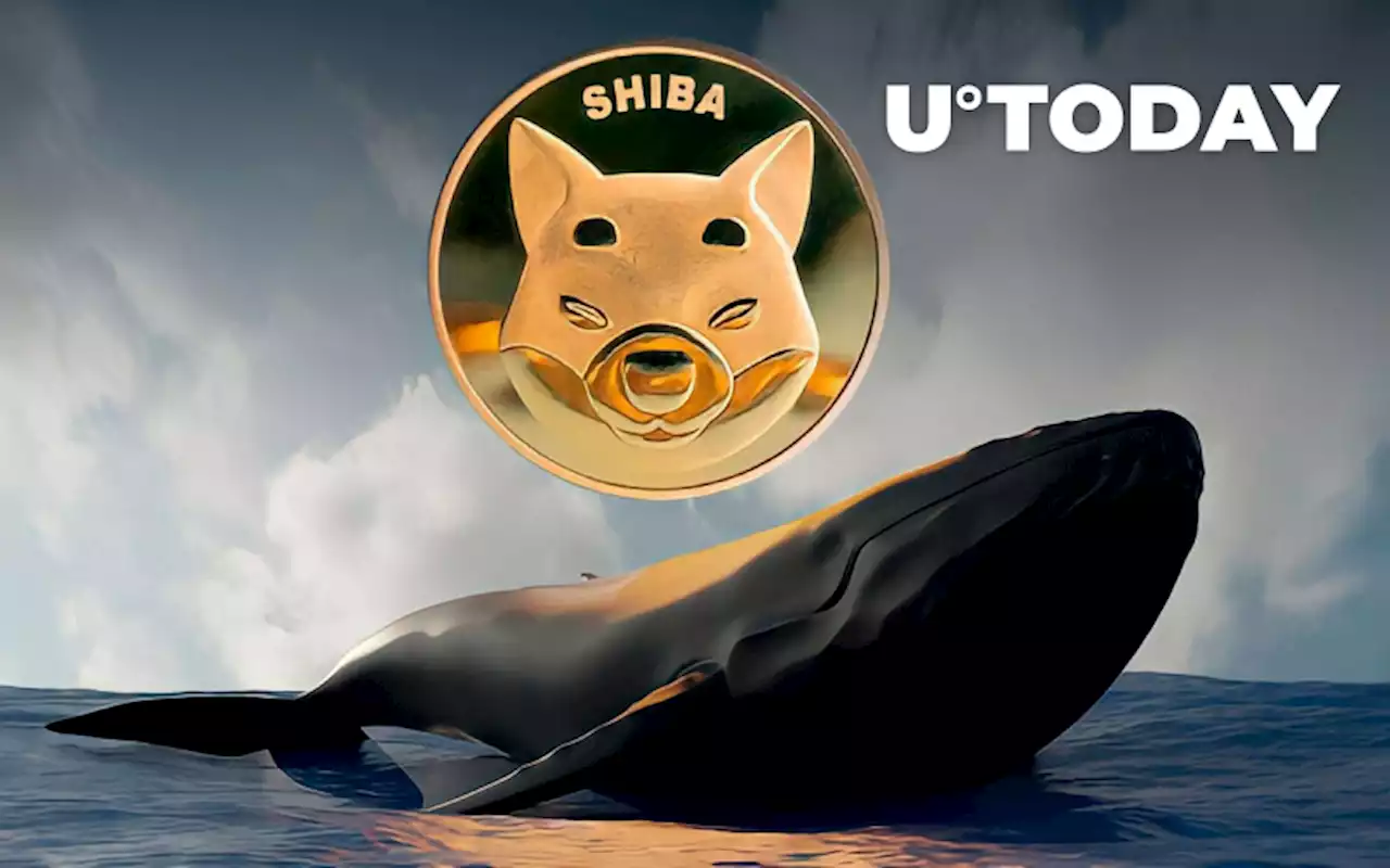 SHIB Returns as Whales’ Biggest Holding and One of Most Purchased Assets