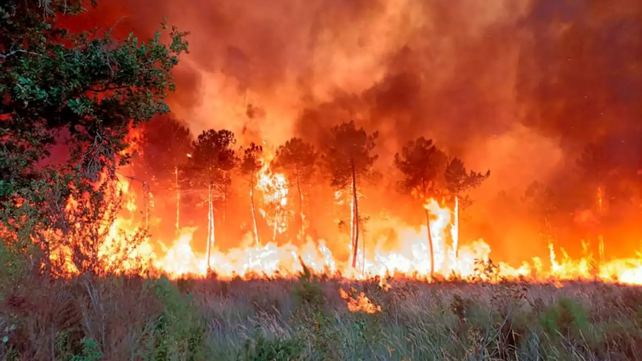 Wildfire rages in Bordeaux; fire pilot killed in Portugal