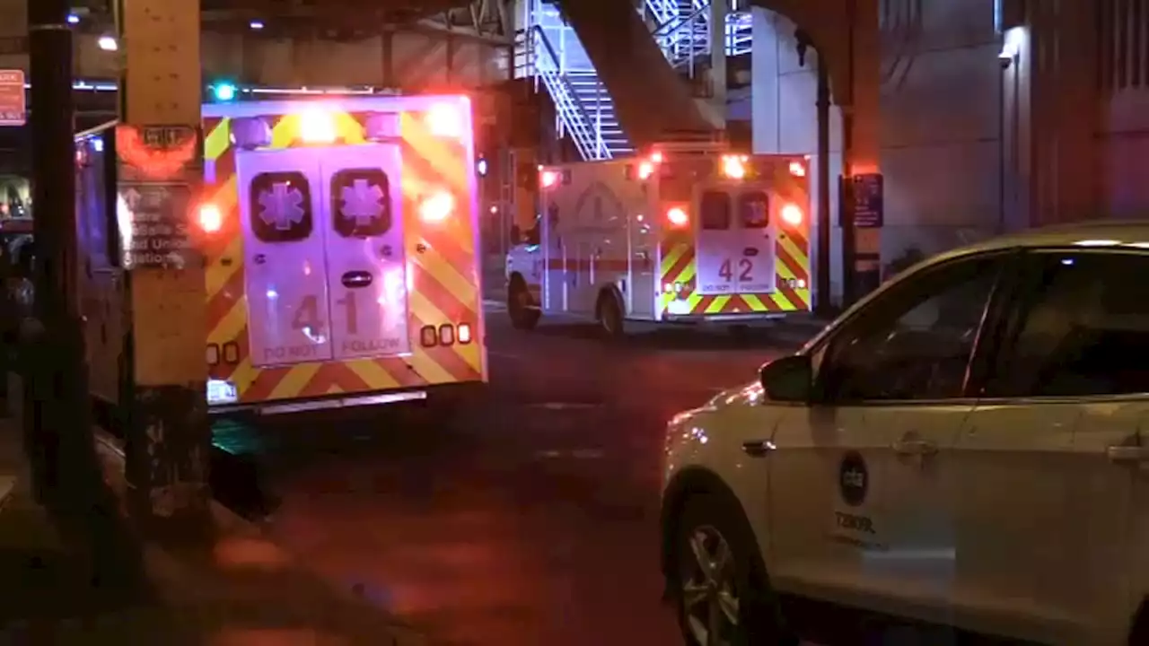 CTA employee found dead on Brown Line tracks in Loop, police say