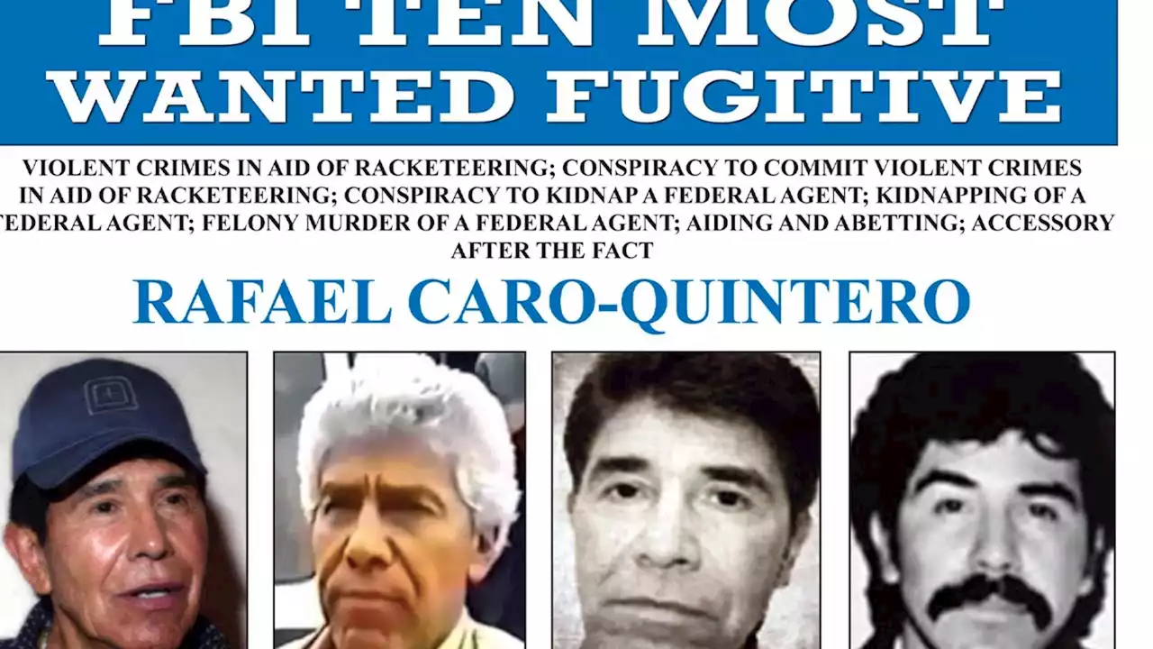 Mexico captures infamous drug lord as 14 killed in Black Hawk helicopter crash