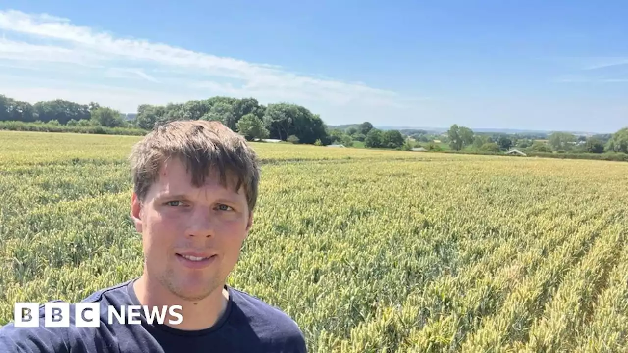 UK heatwave: Leicestershire farmer's crop fire fears