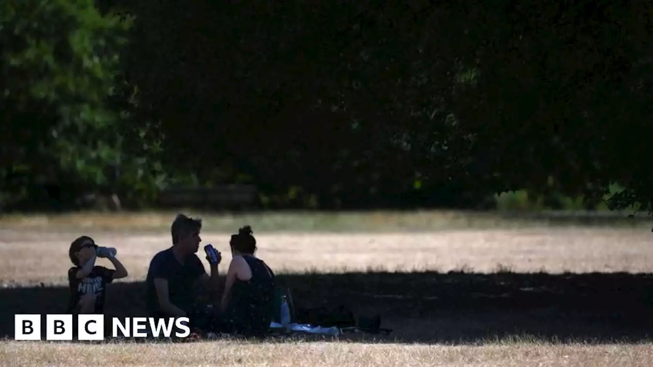 Hot weather: Amber heat warning in place as country braces for record temperatures