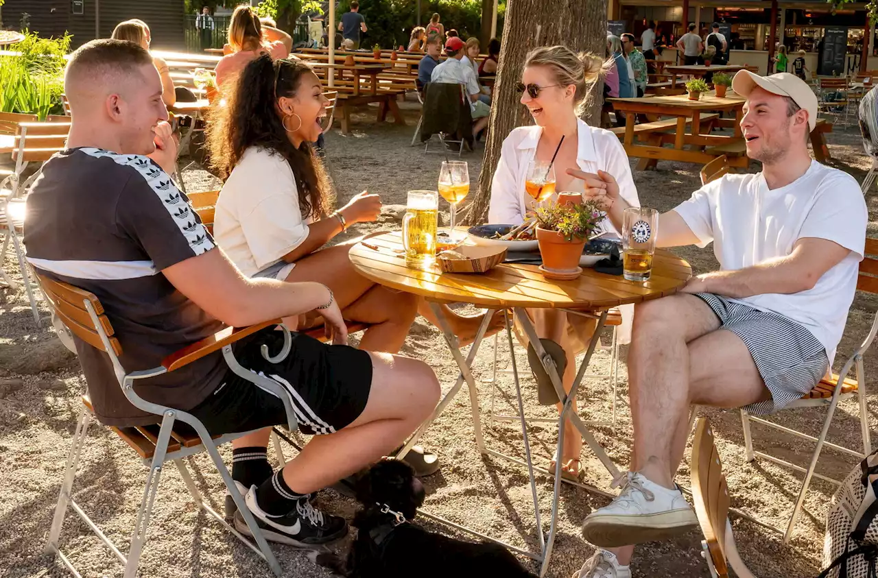 Der große Biergarten-Check