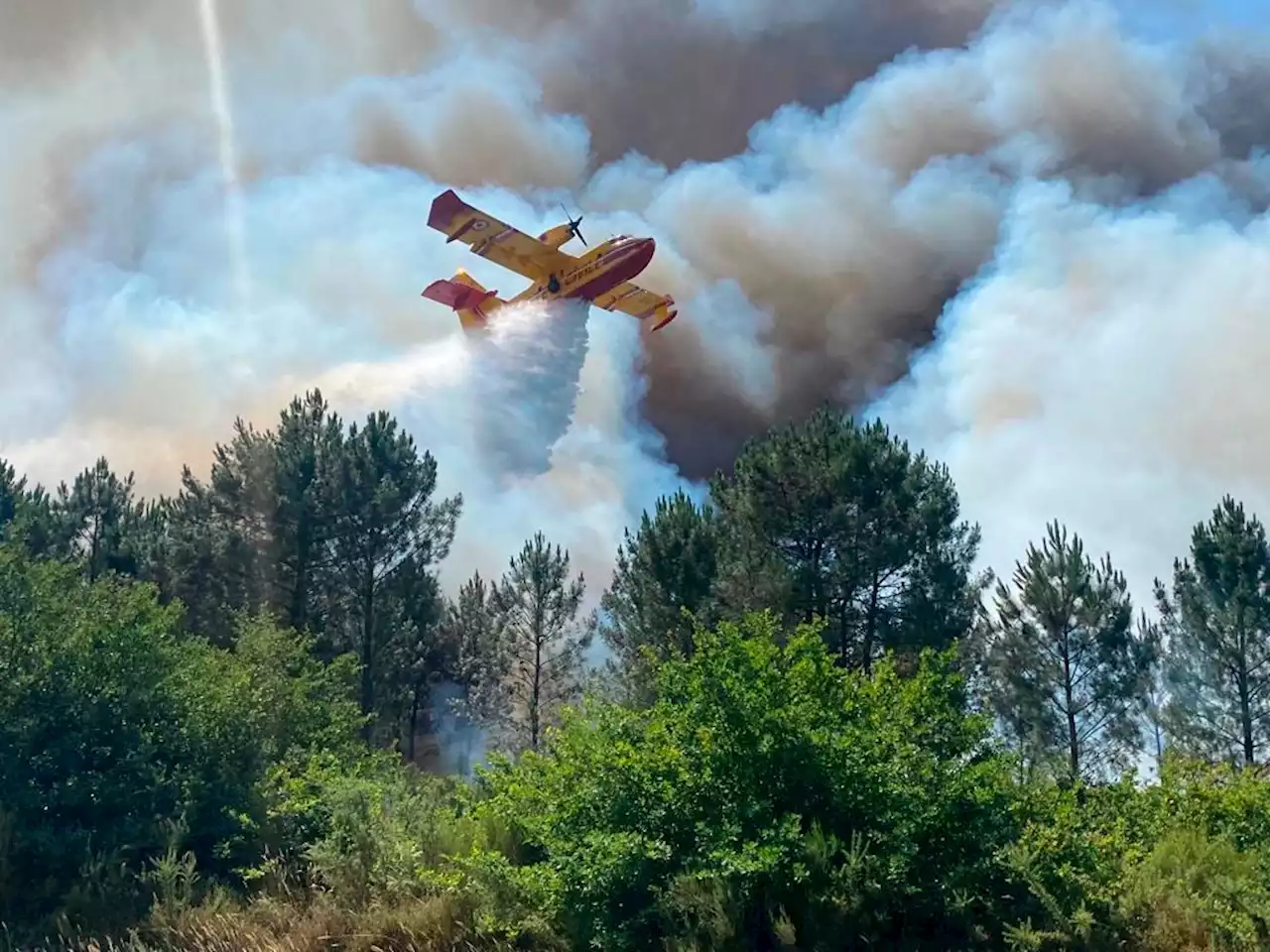 Fires scorch Spain and France, where flames reach the beach