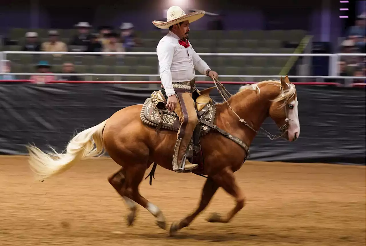 San Antonio Rodeo changes format to host qualifier in Uvalde