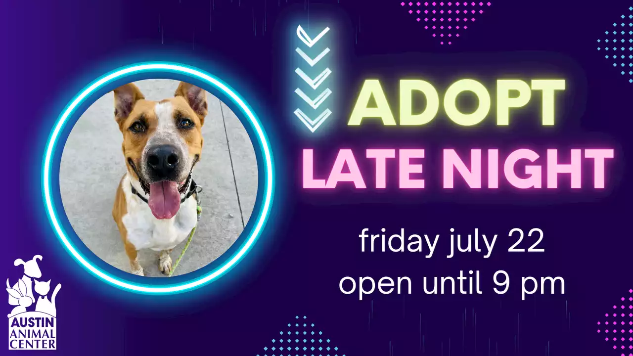 Austin Animal Center hosting late night adoption event