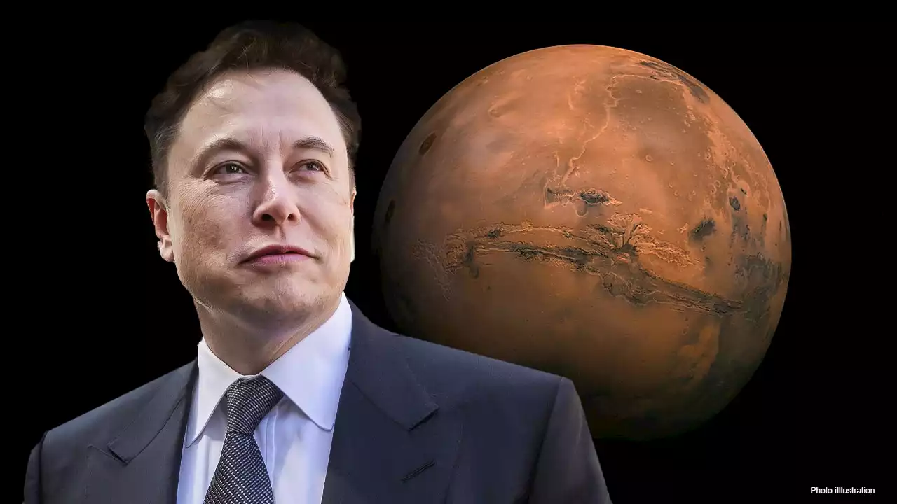 Elon Musk: Mars civilization is 20-30 years away from landing