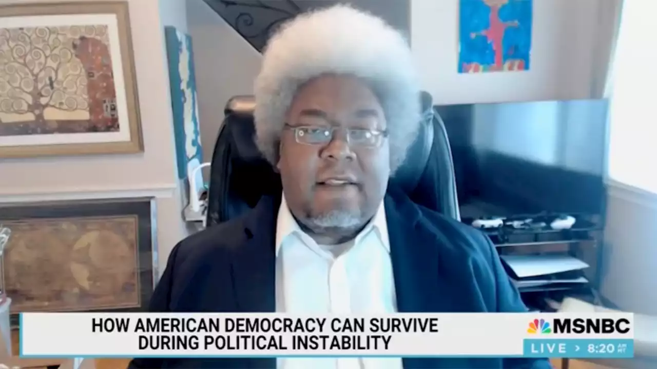 MSNBC contributor claims Supreme Court will allow 'authoritarian takeover' of U.S.