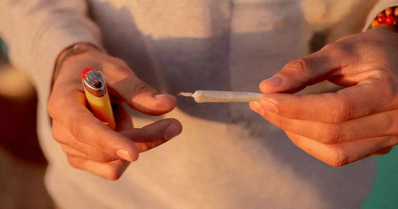 Smoking Weed Makes You Nicer and Less Greedy, Scientist Says