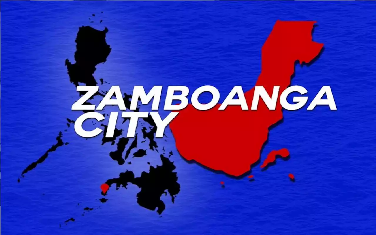 P6.2 million smuggled cigarettes seized in Zamboanga City —PNP