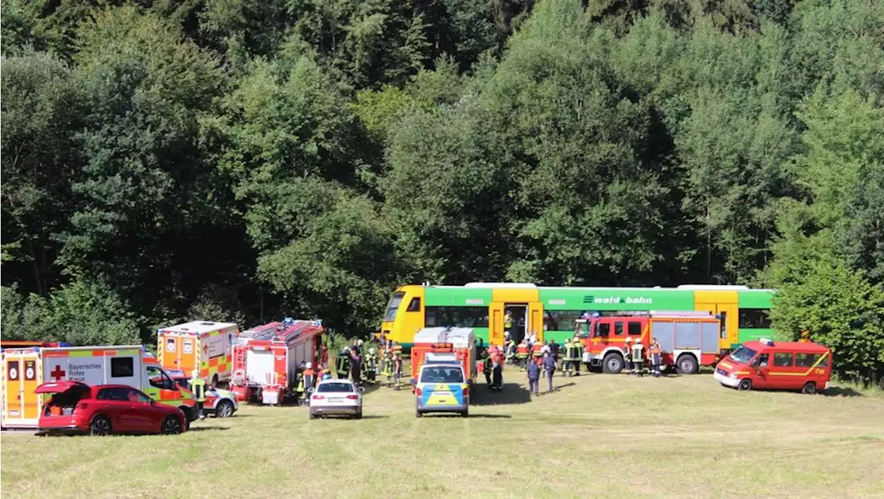 Unglück bei Viechtach: Mann wird von der Waldbahn erfasst - idowa