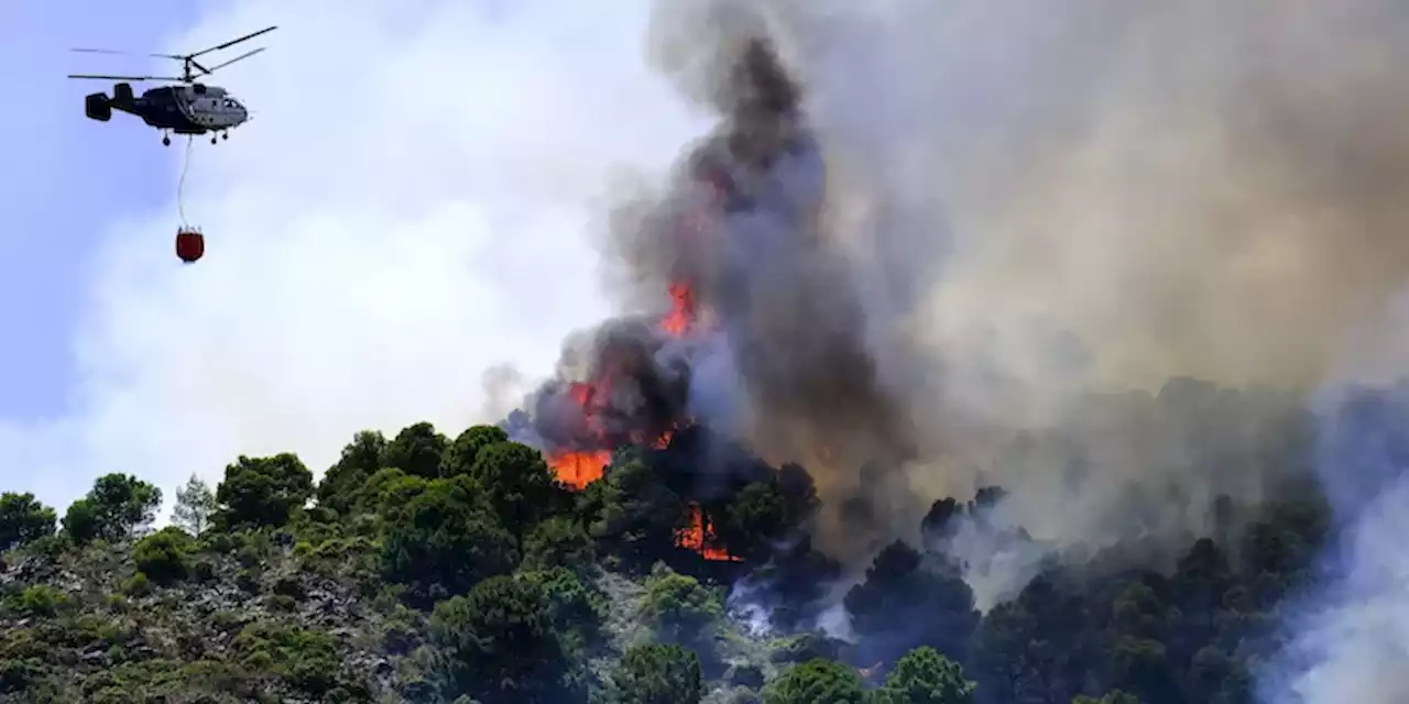 In Europa continua continuano il caldo e gli incendi - Il Post