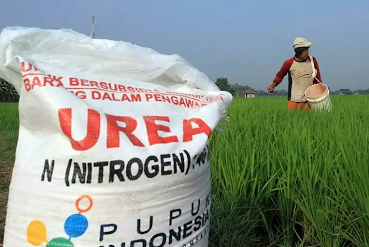 Pupuk Subsidi Dibatasi, Petani Berharap Tepat Sasaran