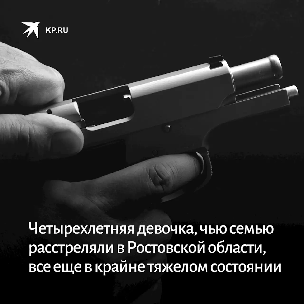 Четырехлетняя девочка, чью семью расстреляли в упор в Ростовской области, все еще в крайне тяжелом состоянии